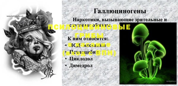 индика Лагань