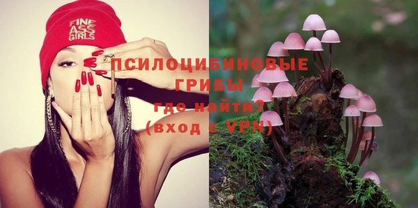 спайс Алексин