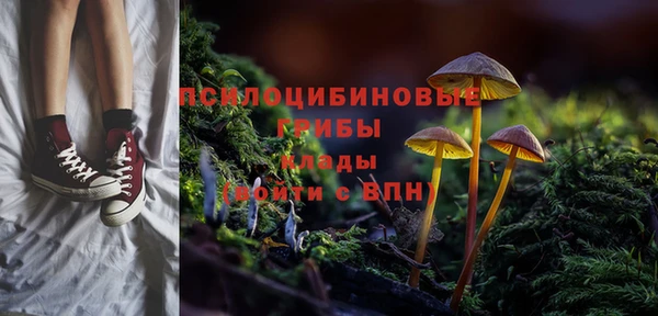 спайс Алексин