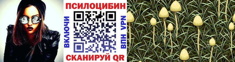 Псилоцибиновые грибы Cubensis  МЕГА ONION  Волжский 