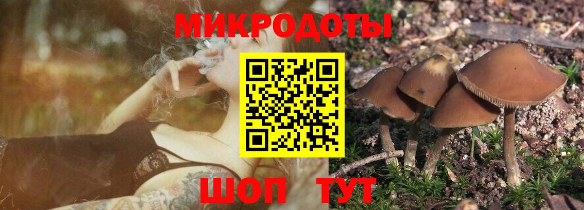 Галлюциногенные грибы GOLDEN TEACHER  Вход с VPN  Волжский 