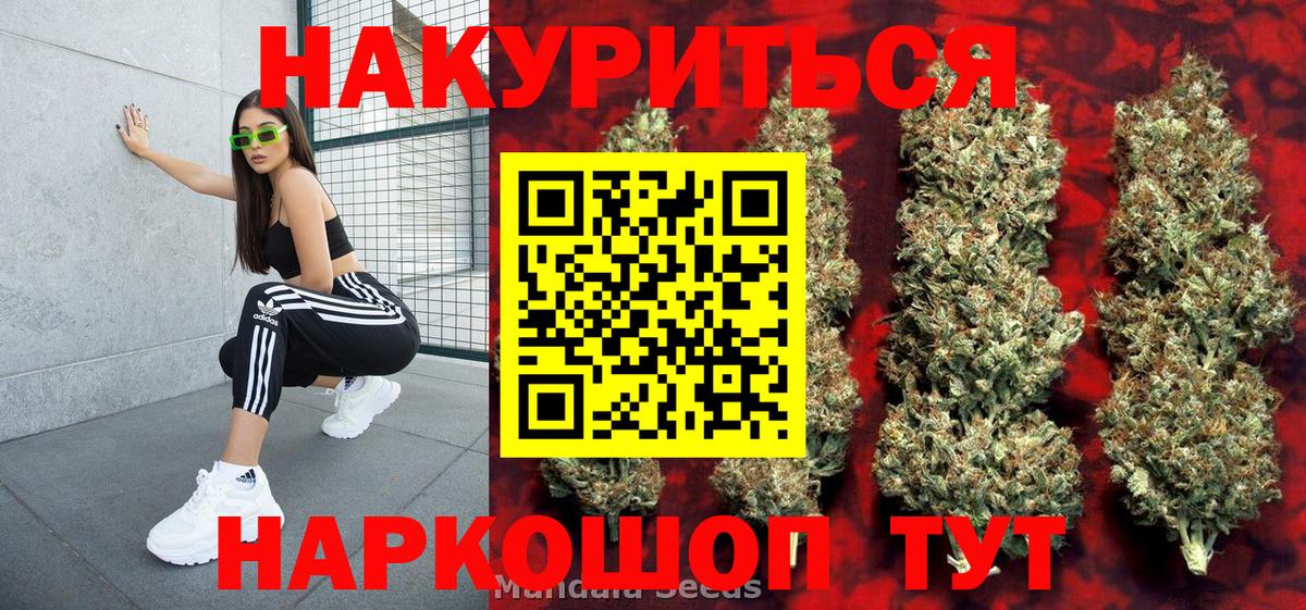 Бошки Шишки гибрид Волжский